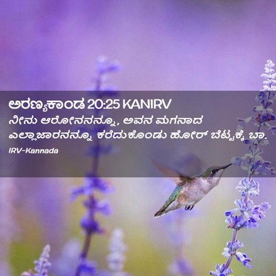 Picture 02 - ಅರಣ್ಯಕಾಂಡ 20:25 KANIRV - ನೀನು ಆರೋನನನ್ನೂ, - Bible Verse Picture