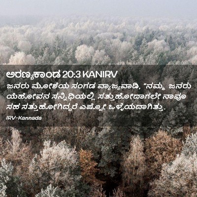Picture 02 - ಅರಣ್ಯಕಾಂಡ 20:3 KANIRV - ಜನರು ಮೋಶೆಯ ಸಂಗಡ - Bible Verse Picture