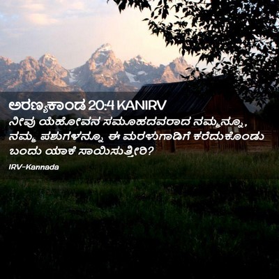 Picture 02 - ಅರಣ್ಯಕಾಂಡ 20:4 KANIRV - ನೀವು ಯೆಹೋವನ - Bible Verse Picture