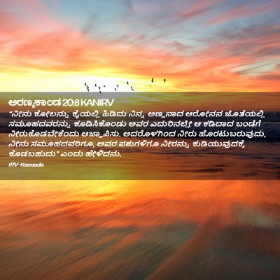 Picture 02 - ಅರಣ್ಯಕಾಂಡ 20:8 KANIRV - “ನೀನು ಕೋಲನ್ನು - Bible Verse Picture