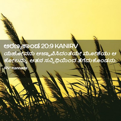 Picture 02 - ಅರಣ್ಯಕಾಂಡ 20:9 KANIRV - ಯೆಹೋವನು - Bible Verse Picture