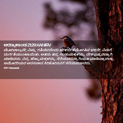 Picture 02 - ಅರಣ್ಯಕಾಂಡ 21:29 KANIRV - ಮೋವಾಬ್ಯರೇ, ನಿಮ್ಮ - Bible Verse Picture