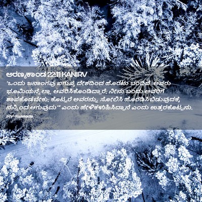 Picture 02 - ಅರಣ್ಯಕಾಂಡ 22:11 KANIRV - ‘ಒಂದು ಜನಾಂಗವು - Bible Verse Picture