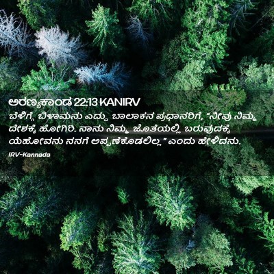 Picture 02 - ಅರಣ್ಯಕಾಂಡ 22:13 KANIRV - ಬೆಳಿಗ್ಗೆ ಬಿಳಾಮನು - Bible Verse Picture