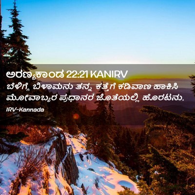 Picture 02 - ಅರಣ್ಯಕಾಂಡ 22:21 KANIRV - ಬೆಳಿಗ್ಗೆ ಬಿಳಾಮನು - Bible Verse Picture