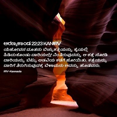 Picture 02 - ಅರಣ್ಯಕಾಂಡ 22:23 KANIRV - ಯೆಹೋವನ ದೂತನು - Bible Verse Picture