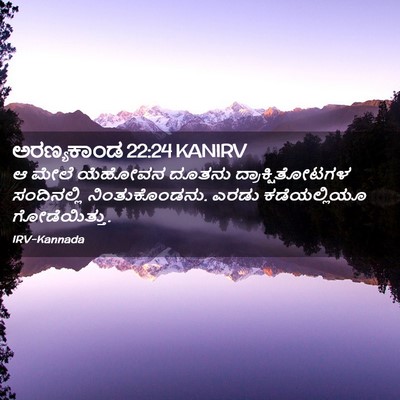 Picture 02 - ಅರಣ್ಯಕಾಂಡ 22:24 KANIRV - ಆ ಮೇಲೆ ಯೆಹೋವನ - Bible Verse Picture