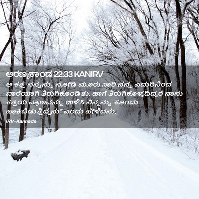 Picture 02 - ಅರಣ್ಯಕಾಂಡ 22:33 KANIRV - ಆ ಕತ್ತೆ ನನ್ನನ್ನು - Bible Verse Picture