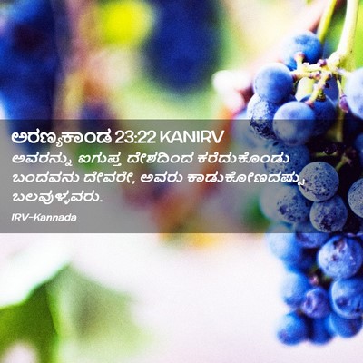 Picture 02 - ಅರಣ್ಯಕಾಂಡ 23:22 KANIRV - ಅವರನ್ನು ಐಗುಪ್ತ - Bible Verse Picture