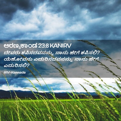 Picture 02 - ಅರಣ್ಯಕಾಂಡ 23:8 KANIRV - ದೇವರು ಶಪಿಸದವನನ್ನು - Bible Verse Picture