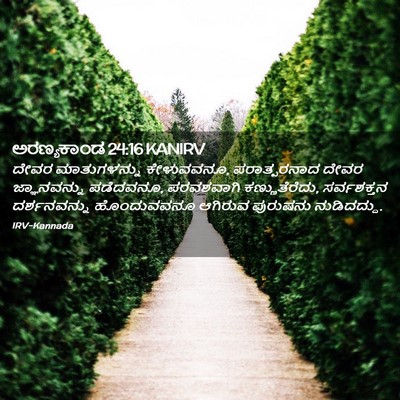 Picture 02 - ಅರಣ್ಯಕಾಂಡ 24:16 KANIRV - ದೇವರ ಮಾತುಗಳನ್ನು - Bible Verse Picture