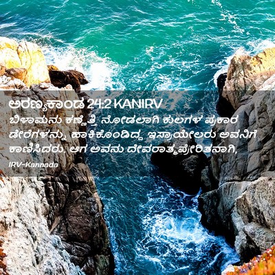 Picture 02 - ಅರಣ್ಯಕಾಂಡ 24:2 KANIRV - ಬಿಳಾಮನು ಕಣ್ಣೆತ್ತಿ - Bible Verse Picture