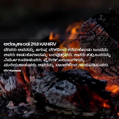 Picture 02 - ಅರಣ್ಯಕಾಂಡ 24:8 KANIRV - ದೇವರು ಅವನನ್ನು - Bible Verse Picture