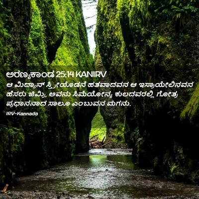 Picture 02 - ಅರಣ್ಯಕಾಂಡ 25:14 KANIRV - ಆ ಮಿದ್ಯಾನ್ - Bible Verse Picture