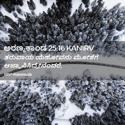Picture 02 - ಅರಣ್ಯಕಾಂಡ 25:16 KANIRV - ತರುವಾಯ ಯೆಹೋವನು - Bible Verse Picture