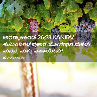Picture 02 - ಅರಣ್ಯಕಾಂಡ 26:28 KANIRV - ಕುಟುಂಬಗಳ ಪ್ರಕಾರ - Bible Verse Picture