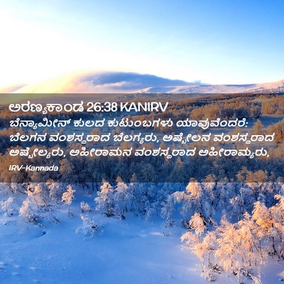Picture 02 - ಅರಣ್ಯಕಾಂಡ 26:38 KANIRV - ಬೆನ್ಯಾಮೀನ್ ಕುಲದ - Bible Verse Picture
