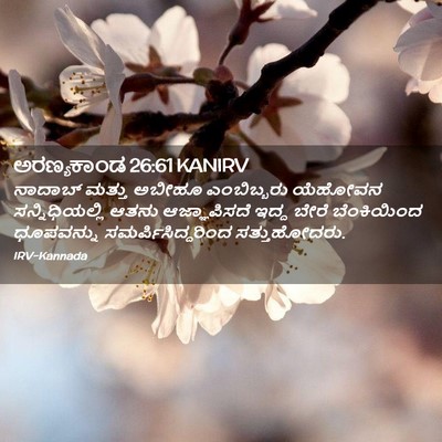 Picture 02 - ಅರಣ್ಯಕಾಂಡ 26:61 KANIRV - ನಾದಾಬ್ ಮತ್ತು - Bible Verse Picture