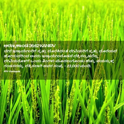Picture 02 - ಅರಣ್ಯಕಾಂಡ 26:62 KANIRV - ಬೇರೆ ಇಸ್ರಾಯೇಲರಿಗೆ - Bible Verse Picture