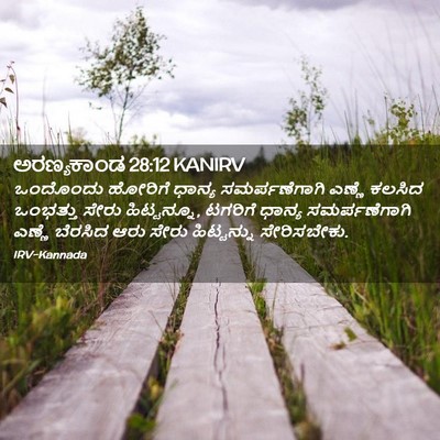 Picture 02 - ಅರಣ್ಯಕಾಂಡ 28:12 KANIRV - ಒಂದೊಂದು ಹೋರಿಗೆ - Bible Verse Picture