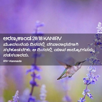 Picture 02 - ಅರಣ್ಯಕಾಂಡ 28:18 KANIRV - ಮೊದಲನೆಯ ದಿನದಲ್ಲಿ - Bible Verse Picture