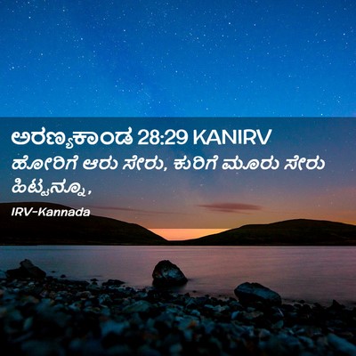 Picture 02 - ಅರಣ್ಯಕಾಂಡ 28:29 KANIRV - ಹೋರಿಗೆ ಆರು ಸೇರು, - Bible Verse Picture