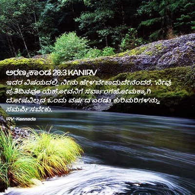 Picture 02 - ಅರಣ್ಯಕಾಂಡ 28:3 KANIRV - ಇದರ ವಿಷಯದಲ್ಲಿ - Bible Verse Picture