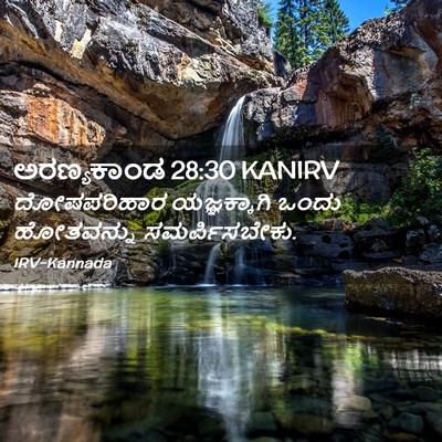 Picture 02 - ಅರಣ್ಯಕಾಂಡ 28:30 KANIRV - ದೋಷಪರಿಹಾರ - Bible Verse Picture