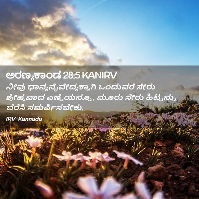 Picture 02 - ಅರಣ್ಯಕಾಂಡ 28:5 KANIRV - ನೀವು - Bible Verse Picture