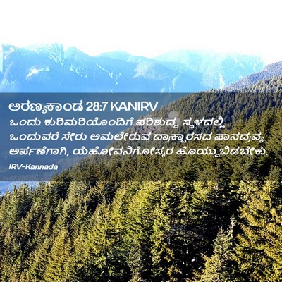 Picture 02 - ಅರಣ್ಯಕಾಂಡ 28:7 KANIRV - ಒಂದು - Bible Verse Picture