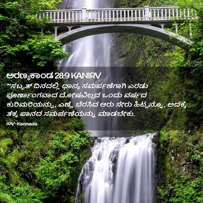 Picture 02 - ಅರಣ್ಯಕಾಂಡ 28:9 KANIRV - “‘ಸಬ್ಬತ್ ದಿನದಲ್ಲಿ - Bible Verse Picture