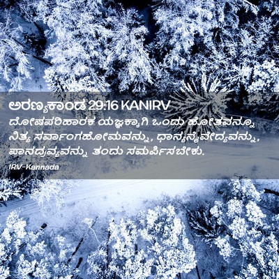 Picture 02 - ಅರಣ್ಯಕಾಂಡ 29:16 KANIRV - ದೋಷಪರಿಹಾರಕ - Bible Verse Picture