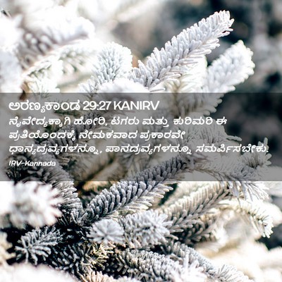 Picture 02 - ಅರಣ್ಯಕಾಂಡ 29:27 KANIRV - ನೈವೇದ್ಯಕ್ಕಾಗಿ - Bible Verse Picture