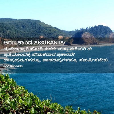 Picture 02 - ಅರಣ್ಯಕಾಂಡ 29:30 KANIRV - ನೈವೇದ್ಯಕ್ಕಾಗಿ - Bible Verse Picture