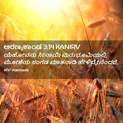 Picture 02 - ಅರಣ್ಯಕಾಂಡ 3:14 KANIRV - ಯೆಹೋವನು ಸೀನಾಯಿ - Bible Verse Picture