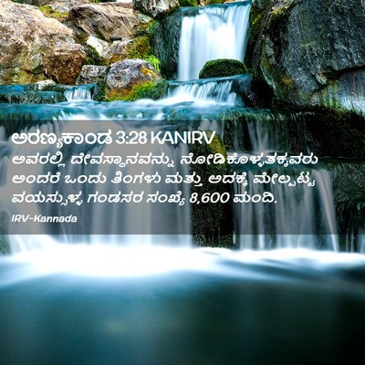Picture 02 - ಅರಣ್ಯಕಾಂಡ 3:28 KANIRV - ಅವರಲ್ಲಿ - Bible Verse Picture