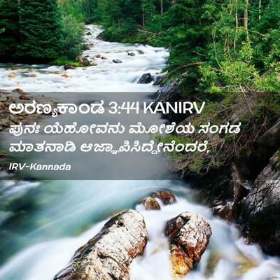 Picture 02 - ಅರಣ್ಯಕಾಂಡ 3:44 KANIRV - ಪುನಃ ಯೆಹೋವನು - Bible Verse Picture