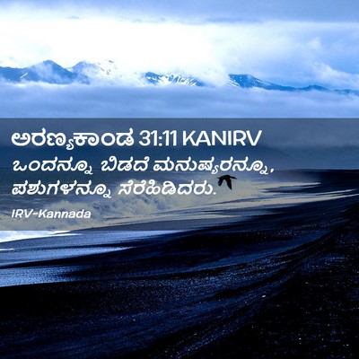 Picture 02 - ಅರಣ್ಯಕಾಂಡ 31:11 KANIRV - ಒಂದನ್ನೂ ಬಿಡದೆ - Bible Verse Picture