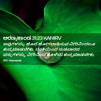 Picture 02 - ಅರಣ್ಯಕಾಂಡ 31:23 KANIRV - ಅವುಗಳನ್ನು ಹೊಲೆ - Bible Verse Picture