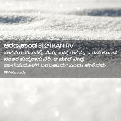 Picture 02 - ಅರಣ್ಯಕಾಂಡ 31:24 KANIRV - ಏಳನೆಯ ದಿನದಲ್ಲಿ - Bible Verse Picture