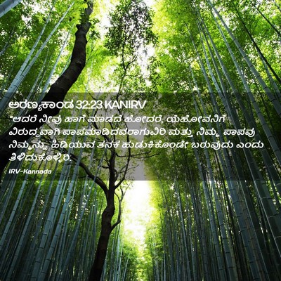 Picture 02 - ಅರಣ್ಯಕಾಂಡ 32:23 KANIRV - “ಆದರೆ ನೀವು ಹಾಗೆ - Bible Verse Picture