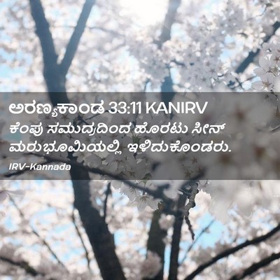 Picture 02 - ಅರಣ್ಯಕಾಂಡ 33:11 KANIRV - ಕೆಂಪು ಸಮುದ್ರದಿಂದ - Bible Verse Picture