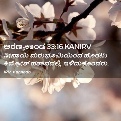 Picture 02 - ಅರಣ್ಯಕಾಂಡ 33:16 KANIRV - ಸೀನಾಯಿ - Bible Verse Picture