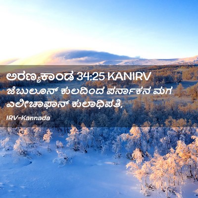 Picture 02 - ಅರಣ್ಯಕಾಂಡ 34:25 KANIRV - ಜೆಬುಲೂನ್ ಕುಲದಿಂದ - Bible Verse Picture