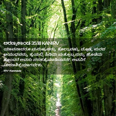 Picture 02 - ಅರಣ್ಯಕಾಂಡ 35:18 KANIRV - ಯಾವನಾದರೂ - Bible Verse Picture