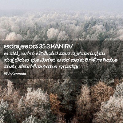 Picture 02 - ಅರಣ್ಯಕಾಂಡ 35:3 KANIRV - ಆ ಪಟ್ಟಣಗಳು ಲೇವಿಯರ - Bible Verse Picture