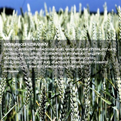 Picture 02 - ಅರಣ್ಯಕಾಂಡ 4:15 KANIRV - ದಂಡು ಹೊರಡುವಾಗ - Bible Verse Picture