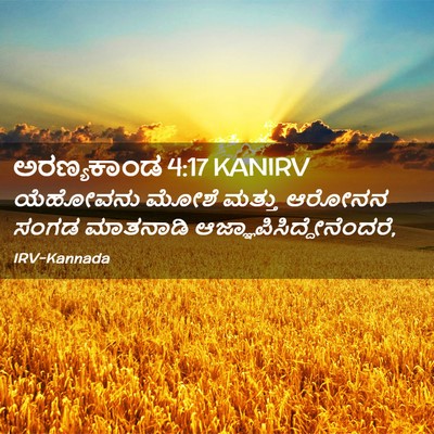 Picture 02 - ಅರಣ್ಯಕಾಂಡ 4:17 KANIRV - ಯೆಹೋವನು ಮೋಶೆ - Bible Verse Picture