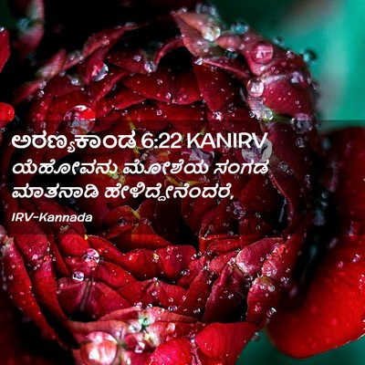 Picture 02 - ಅರಣ್ಯಕಾಂಡ 6:22 KANIRV - ಯೆಹೋವನು ಮೋಶೆಯ - Bible Verse Picture