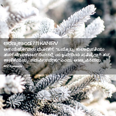 Picture 02 - ಅರಣ್ಯಕಾಂಡ 7:11 KANIRV - ಆಗ ಯೆಹೋವನು ಮೋಶೆಗೆ, - Bible Verse Picture